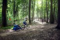 przyczepka rowerowa thule chariot cross  w lesie.jpg